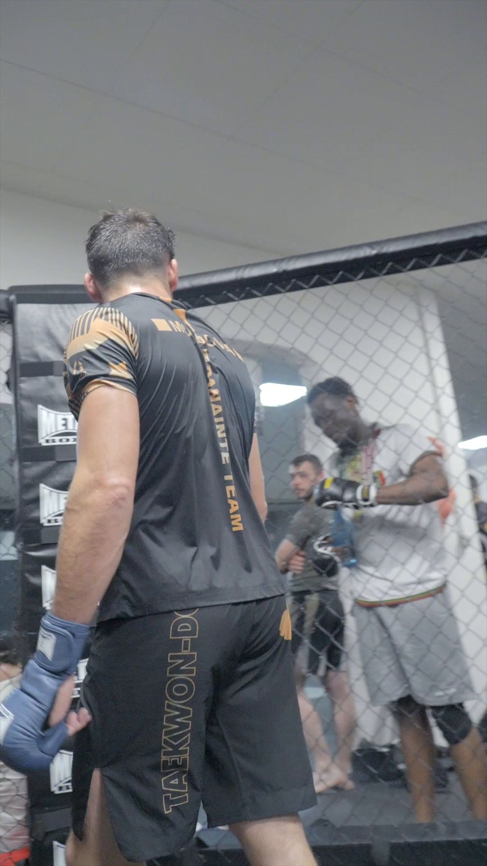 Sparring dans la cage